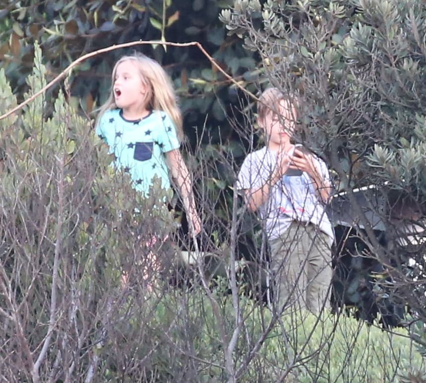 Knox y Vivienne entre los arbustos, paseando por el patio trasero de la casa.