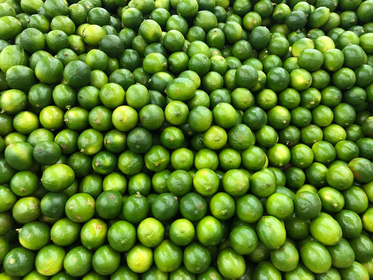 <b>Puesto 17. Cultivo de cítricos (excepto naranjas). Entre 2009 y 2018: 39.4% menos empleos.</b> Esta industria incluye los establecimientos que cultivan limones, mandarinas y pomelos. La disminución del empleo de casi el 40% en los últimos 10 años probablemente se deba en parte a una mayor eficiencia en la producción de cultivos a gran escala, lo que ha reducido la necesidad de personal.