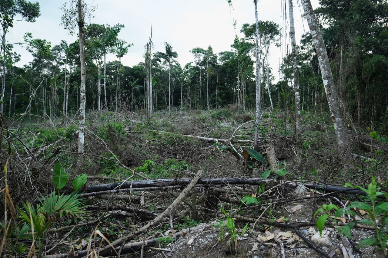 Hallan 8 cabezas humanas en Ecuador en medio de ola de violencia y estado de excepción