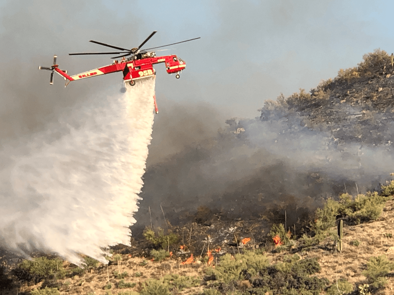 <a href="https://www.univision.com/local/arizona-ktvw/el-incendio-bush-es-ahora-el-septimo-incendio-forestal-mas-grande-en-la-historia-de-arizona-fotos">El incendio Bush en el Bosque Nacional de Tonto</a> ha consumido casi 174,397, acres, en comparación con 151,075 que llevaba este viernes, y solo ha sido contenido en un 7%,
<a href="https://inciweb.nwcg.gov/incident/6773/" target="_blank">según InciWeb</a>, el sitio de información sobre incendios forestales del Servicio Forestal de Estados Unidos.
<br>
<br>