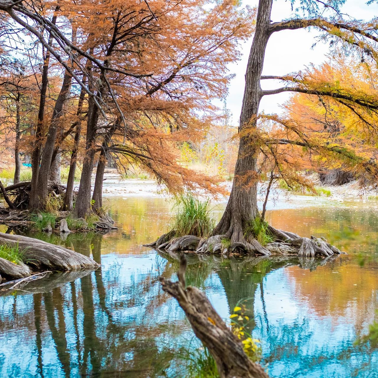 De acuerdo con la publicación del parque en sus redes sociales,
<a href="https://www.facebook.com/226813135190/posts/10165990671300191" target="_blank">las personas que visiten esta semana el parque verán los mejores colores de la temporada. </a>