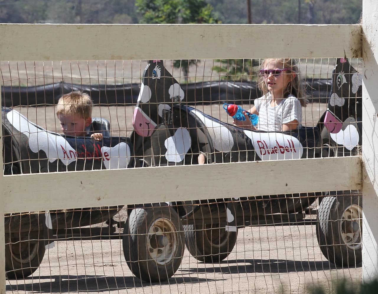 Los chiquitos en carritos pintados como vacas.
