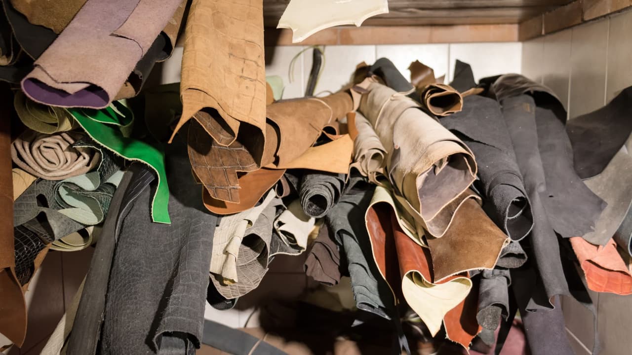 <h2 class="cms-H2-H2">Ropa con piel sin curtir, o huesos y plumas en algunas circunstancias</h2>
<br>Si llevas ropa con pieles que sean sin curtir, las autoridades sanitarias mexicanas también prohibirán el acceso. En cuanto a las plumas, huesos o artesanías de cuernos, "se permite el ingreso, cuando se descarte la presencia de los materiales antes señalados y se verifique que se trate de un producto cuyas características no representen un riesgo sanitario".