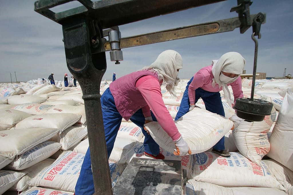 La oscilación máxima de temperatura en un solo día registrada hasta ahora tuvo lugar en la cuenca Qaidam de China, una media luna- depresión en forma de cerco rodeada por montañas en la meseta tibetana. Ahí, el 20 de julio de 2006, las temperaturas oscilaron de
<b>-10.71F (-23,7°C) a 136.6ºF (58,1°C)</b>, según reportó el Observatorio de la Tierra de la NASA.