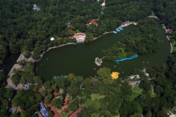 El parque Chapultepec está oficialmente designado como Área de Valor Ambiental con categoría de Bosque Urbano. Es el monumento natural de mayor importancia en la Ciudad de México por su valor histórico, turístico, cultural y ambiental. Además, con sus 4.3 millas cuadradas (7 kilómetros cuadrados) funciona como el principal regulador de la calidad del aire en la capital mexicana.
<br>