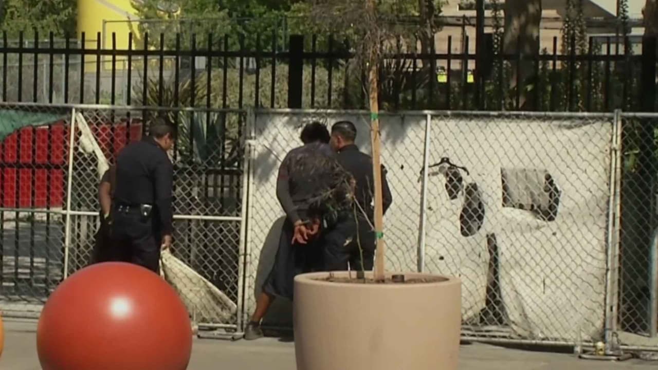Operativo en MacArthur Park deja 18 arrestos en Los Ángeles