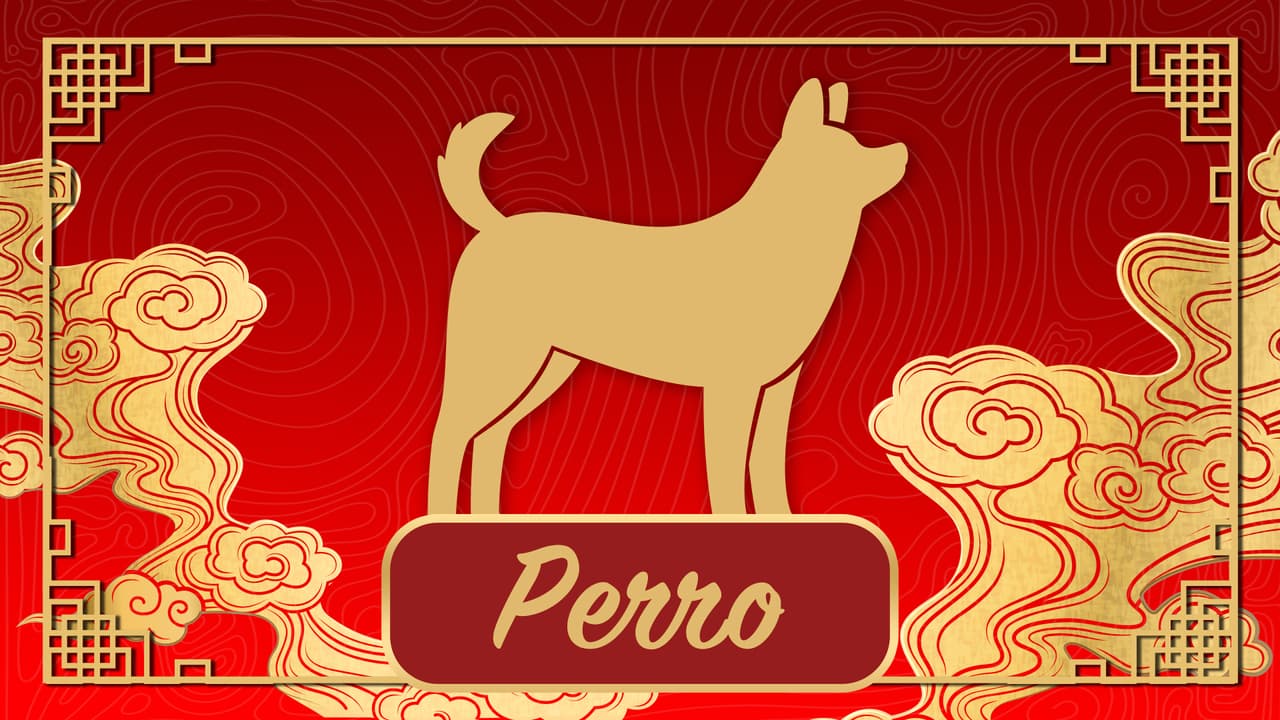 <u><b><a href="https://www.univision.com/horoscopos/predicciones-2021/predicciones-para-el-perro-durante-el-ano-del-buey-en-el-horoscopo-chino-video" target="_blank">HORÓSCOPO DEL PERRO 2021 </a></b></u>
<br>La palabra clave durante los siguientes 12 meses será la comunicación. Eres un signo yang, y el buey es yin, así que esa contradicción puede causarte complicaciones en la manera en que te expreses o desenvuelvas.
<br>En el amor estás bien auspiciado con las personas en tu entorno, mientras que en el trabajo se arreglarán varias cosas. Económicamente tendrás una recuperación, así que habrá muchas cosas positivas.
<br>