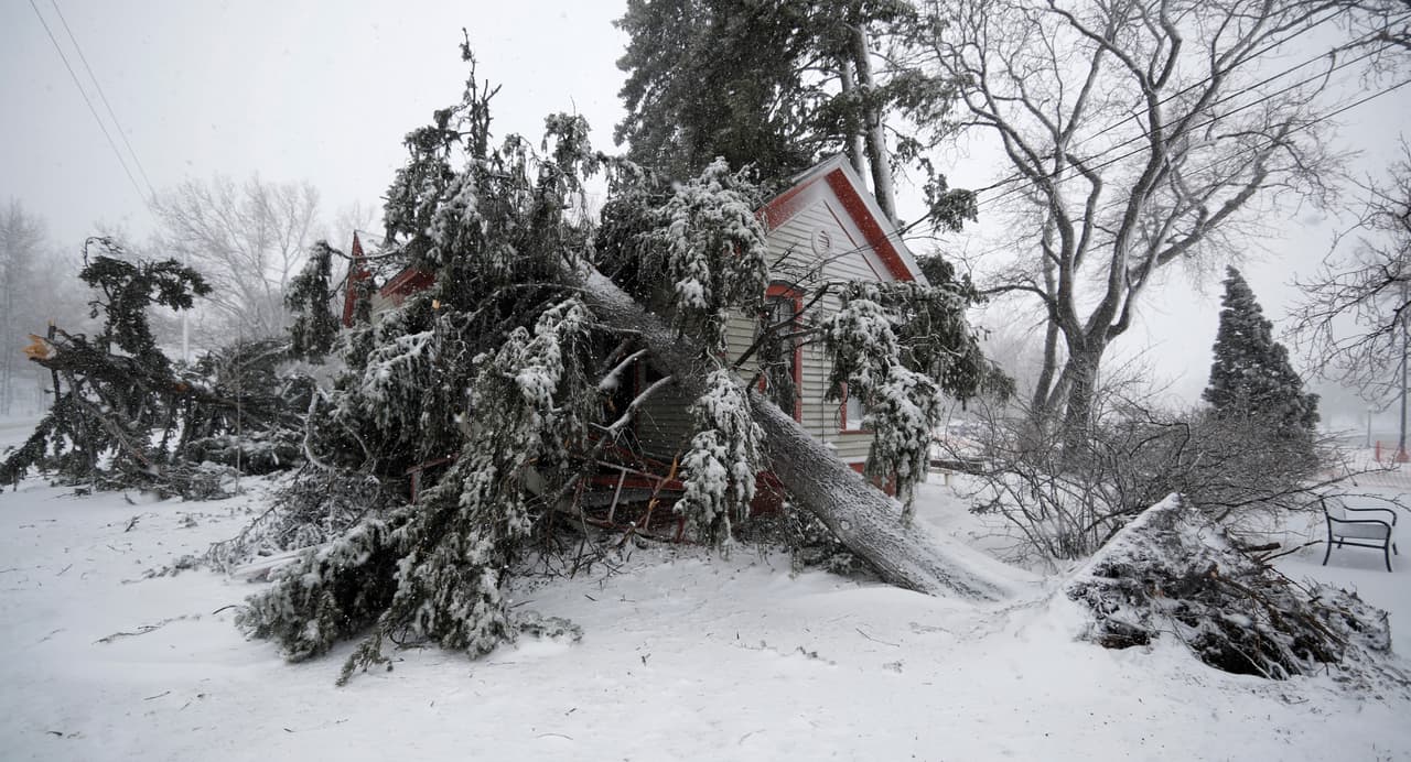 Varios árboles fueron rotos por los fuertes vientos que trajo el 'ciclón bomba' a la región central de Estados Unidos este miércoles. La casa de Eugene Field en Washington Park, en Denver, resultó afectada.