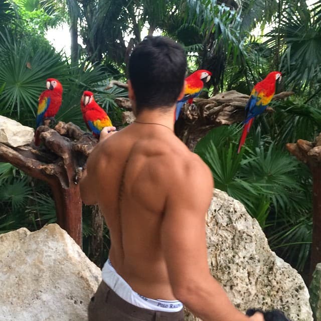 DJ Cotrona, su novio, no se queda atrás y también tiene unos músculos espectaculares, son tal para cual, ¿no crees?