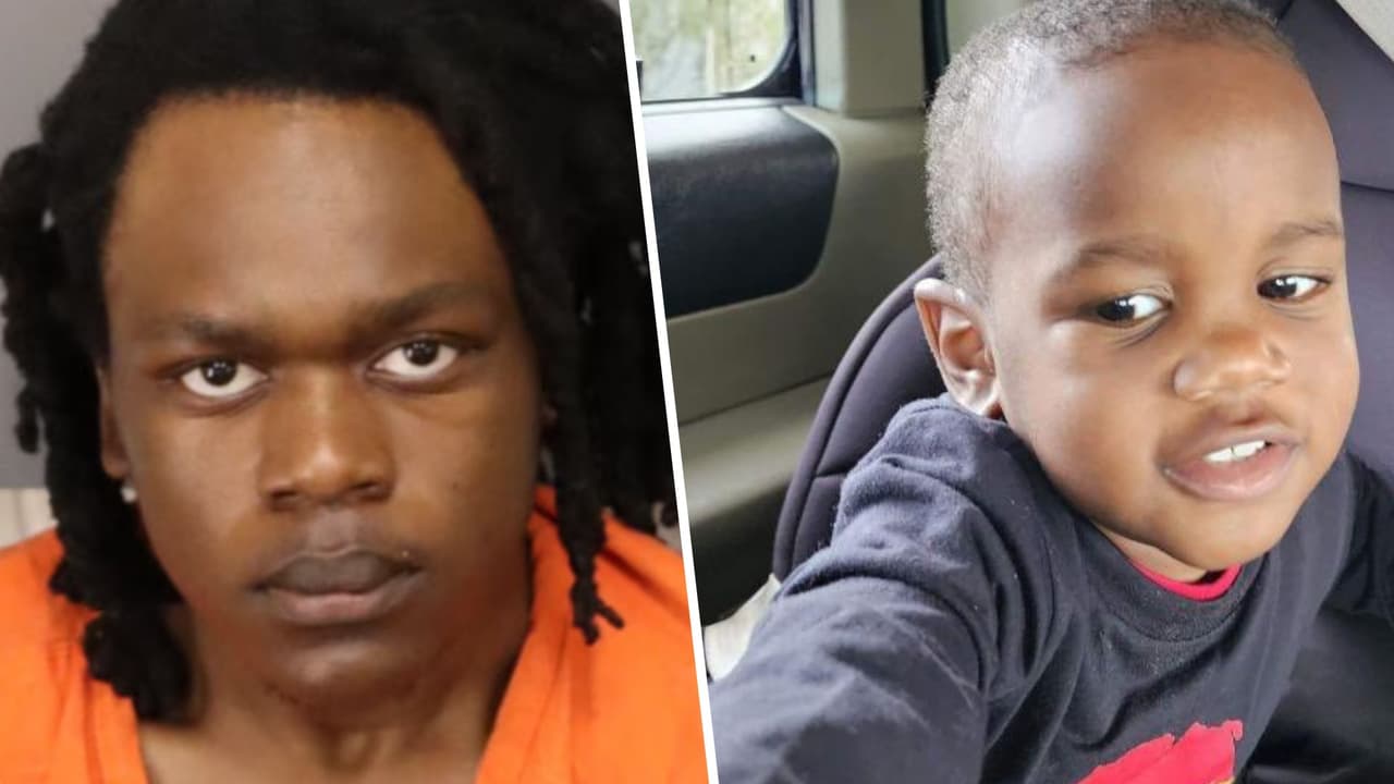 Niño de 2 años hallado en la boca de un caimán en St. Petersburg fue asesinado, según la policía