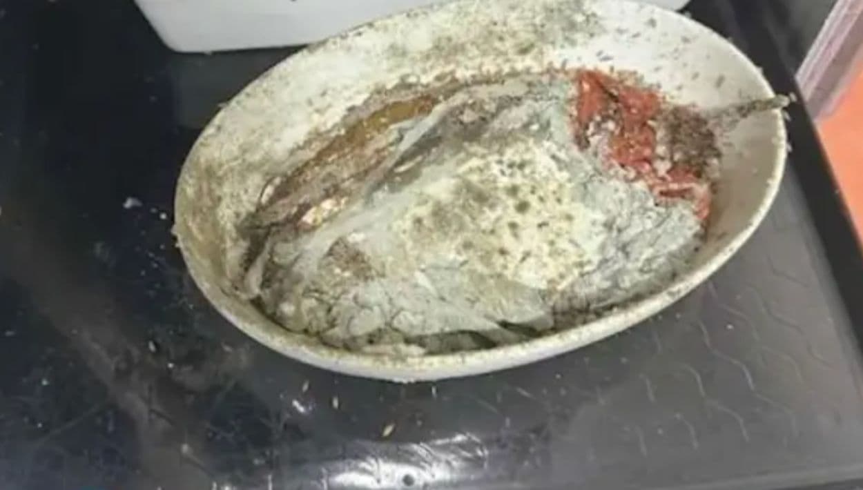 Los empleados del centro de procesamiento de alimentos para aerolíneas de Flying Food Group, en Los Ángeles, presentaron una denuncia en la que acusan a la empresa de mantener condiciones de trabajo insalubres e inseguras dentro de sus instalaciones.
<br>