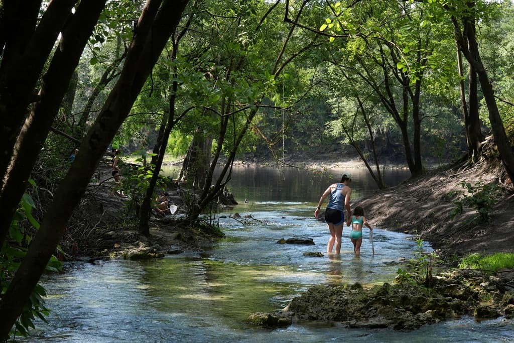 En zonas rurales, el uso de fertilizantes con nitrógeno y fosfatos provoca floraciones de algas que asfixian la vida acuática, mientras los residuos del ganado agravan la contaminación en manantiales antes cristalinos.