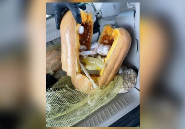 Intentaron pasar más de 40 libras de metanfetamina en calabazas, simulando que eran adornos de Halloween
