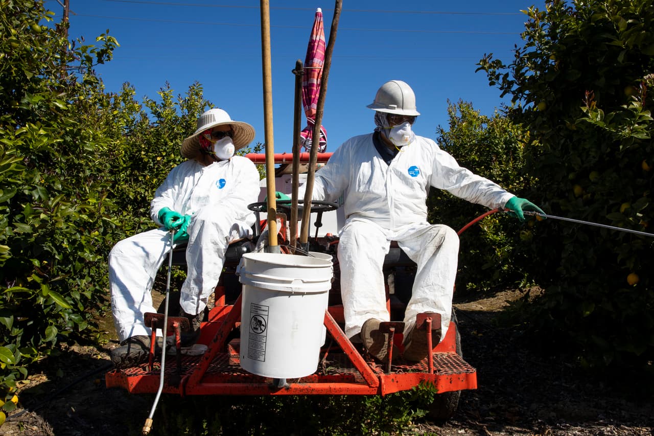 La pandemia de coronavirus ha dejado sin trabajo a miles de personas en California, pero los trabajadores agrícolas se han vuelto esenciales para mantener la cadena de suministro de alimentos intacta. Sin embargo, ellos también se encuentran entre los más desprotegidos.