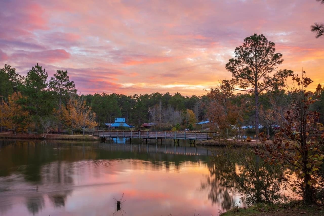 <b>General Coffee State Park (Nicholls)</b>
<br>
<b>Sitio web</b>: 
<a href="https://gastateparks.org/GeneralCoffee">https://gastateparks.org/GeneralCoffee</a> 
<br>
<b><a href="https://maps.app.goo.gl/UQuccu4tswcuwMpy9">Cómo llegar</a> </b>
<br>
<br>Este parque ofrece aventuras para toda la familia. Para empezar, conquista el sendero panorámico a lo largo del río de 17 millas con cipreses, musgo español y mucha vida silvestre.