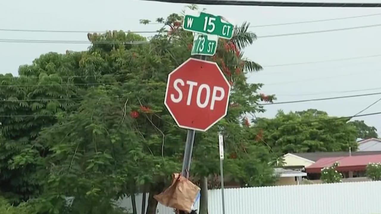 Un vecino de Hialeah admitió haber sido la persona que 
<a href="https://www.univision.com/local/miami-wltv/patos-muertos-y-amarrados-en-una-senal-de-pare-en-hialeah" target="_blank">colgó tres patos muertos en una señal de ‘pare’. </a>
<br>