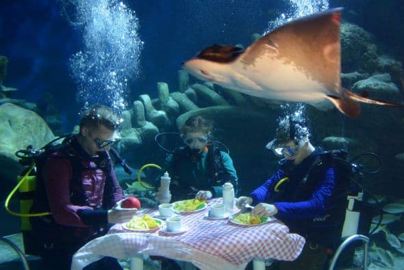 La convocatoria Sustainable Fish Week tiene como objetivo concientizar a las personas a proteger los océanos.