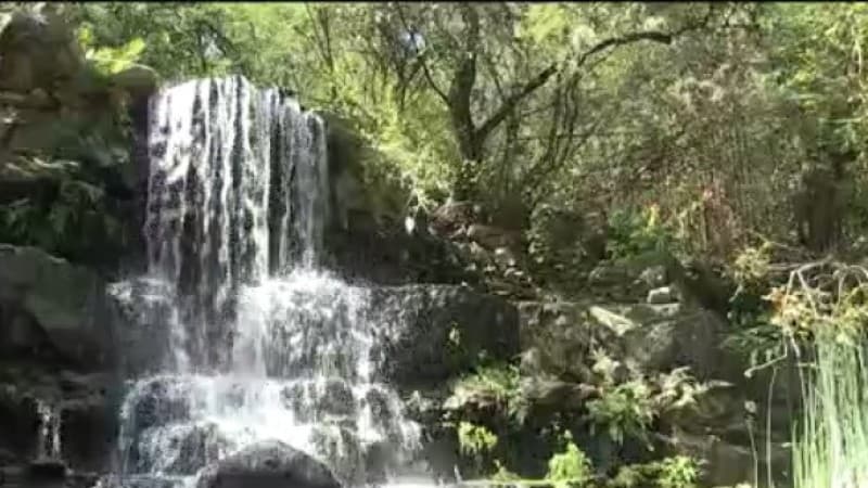 Jardín Botánico Zilker ofrecerá entrada gratuita ocho días al año