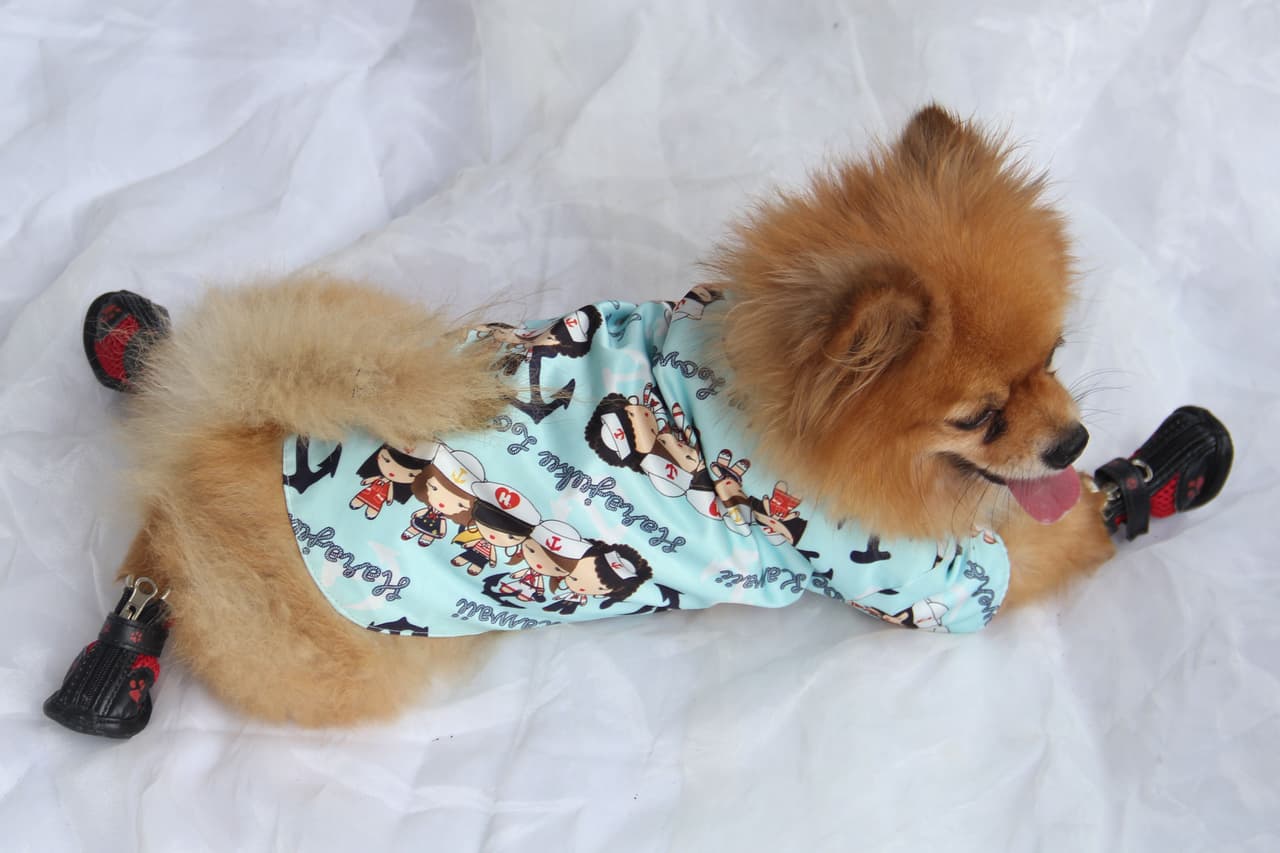 Está diseñada para mascotas de hasta 100 libras (45 kilos). El techo se puede quitar, para una limpieza más efectiva.