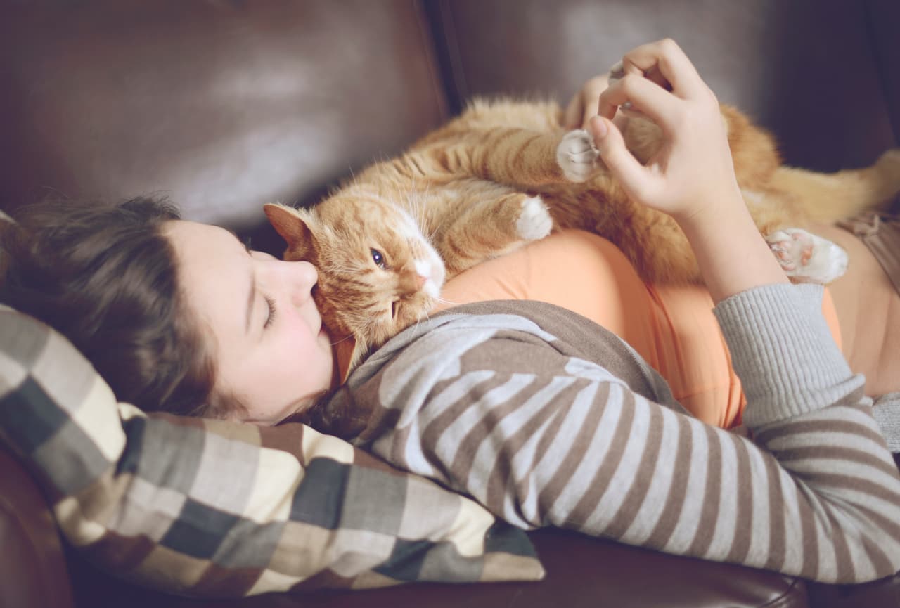 7. Suncast Deluxe Personalized Large Dog House DH 350. Un lugar de descanso y resguardo para tu mascota.