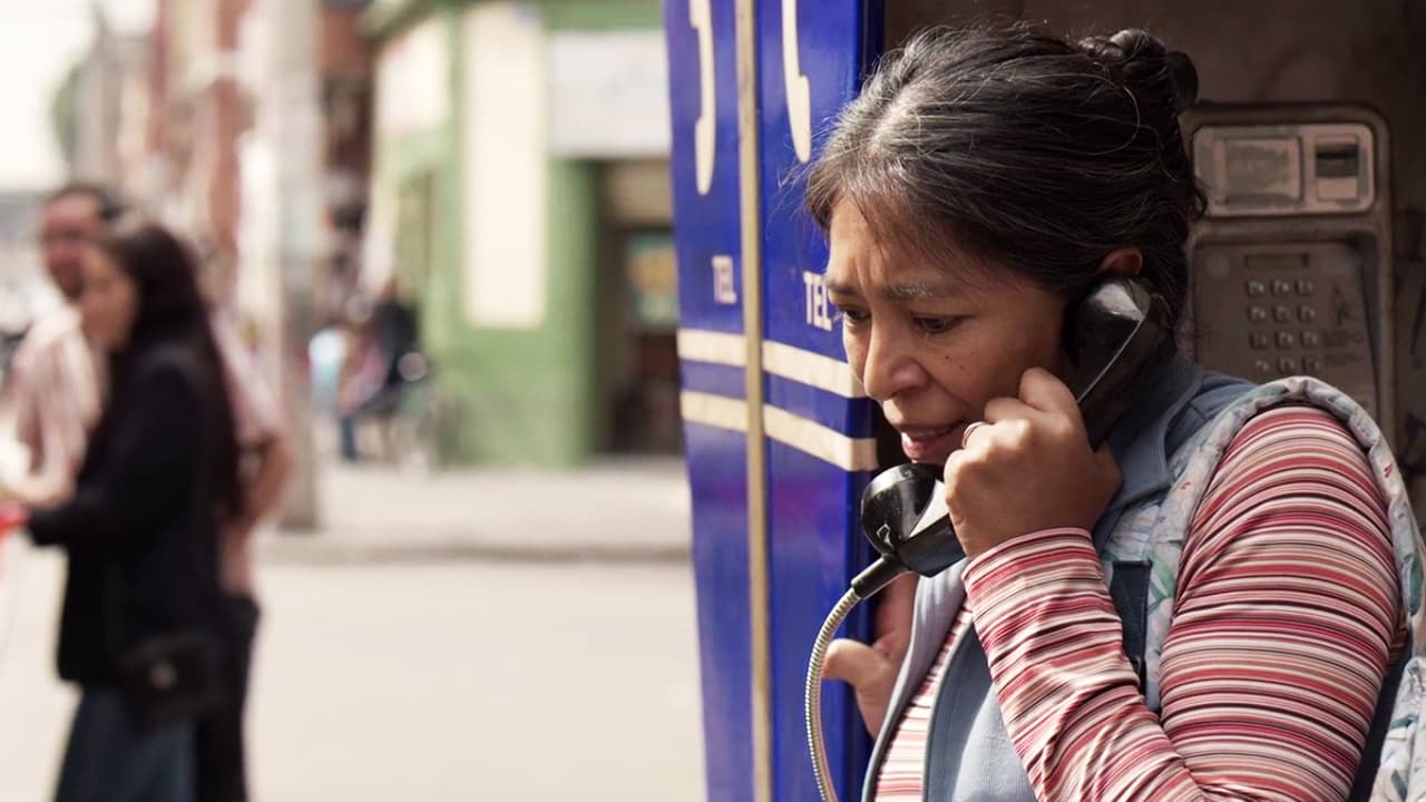 The news filled the woman with hope. She called her husband and asked him to sell his taxi in order to get the necessary amount of money to make the exchange. In spite of her husband’s warnings about a possible trap, she begged him to hurry.