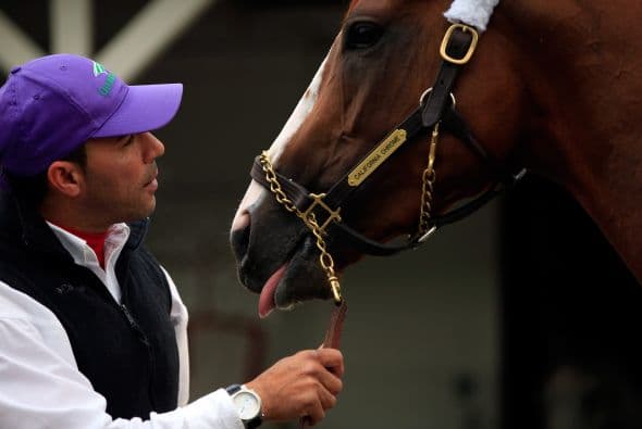 "Él no dejará que ningún otro caballo lo rebase", dijo su entrenador.