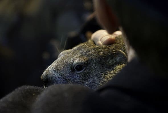 Este año se ha caracterizado por las habituales olas de frío ártico que han situado las temperaturas por debajo de la media de la región.