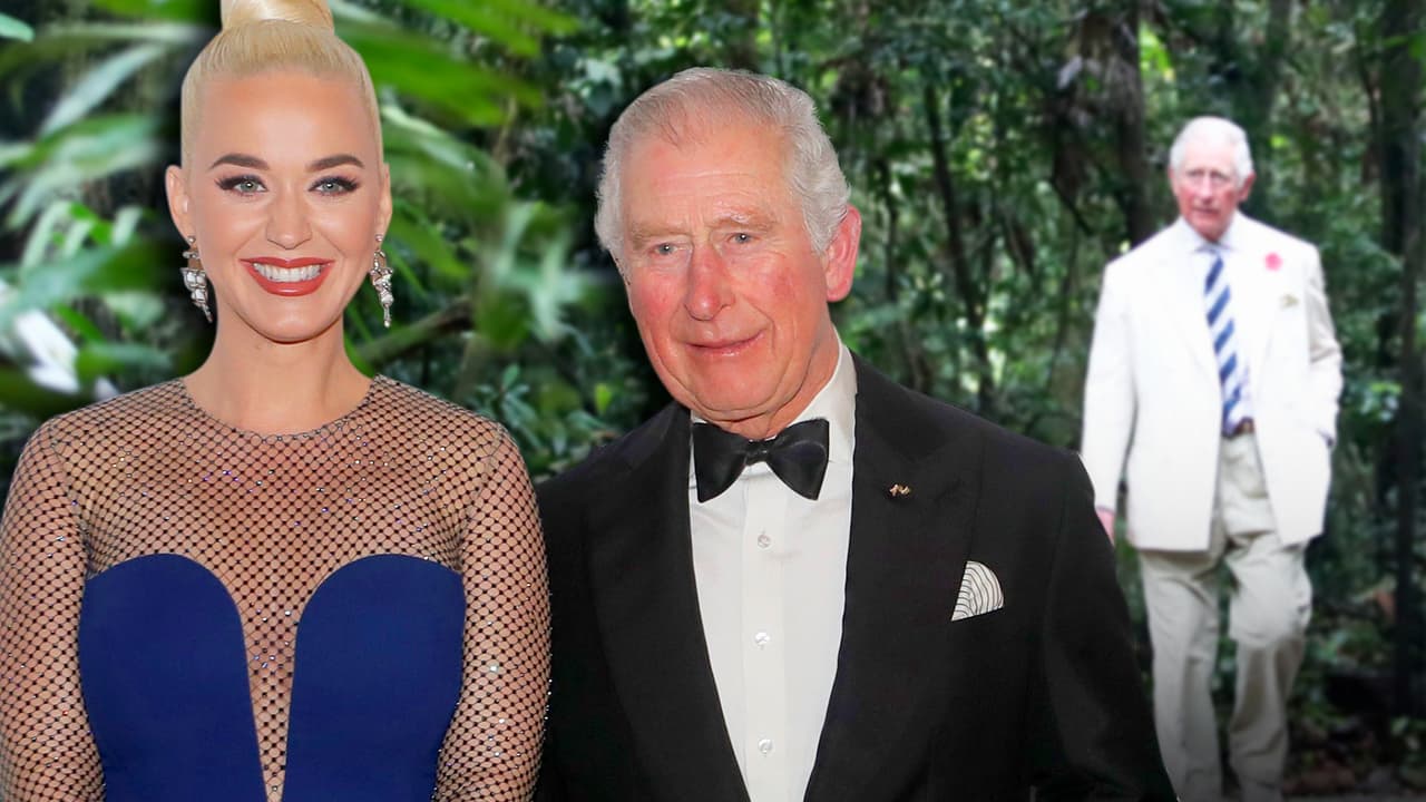 Katy Perry se echa al príncipe Carlos al bolsillo con una promesa: le dará un concierto privado a sus plantas