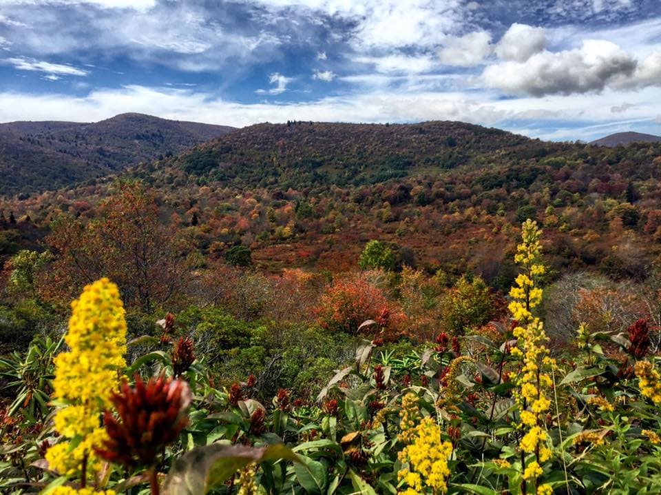 <b>Table Rock</b>: Una de las crestas más impresionantes del Bosque Nacional Pisgah, su pico se eleva a más de 3.950 pies sobre el nivel del mar y domina el desfiladero de Linville; es verdaderamente un sitio para ver en cualquier época del año.