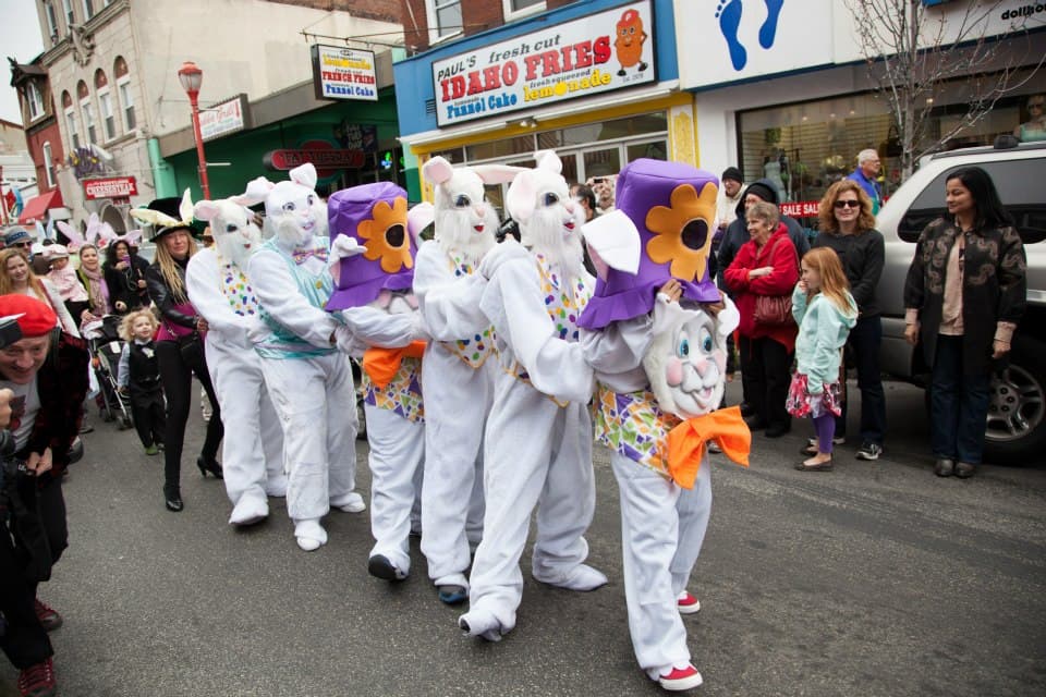 El maestro de ceremonias conducirá a la manada por South Street acompañado por el Sr. y la Sra. Cottontail y varios de sus amigos conejos peludos.