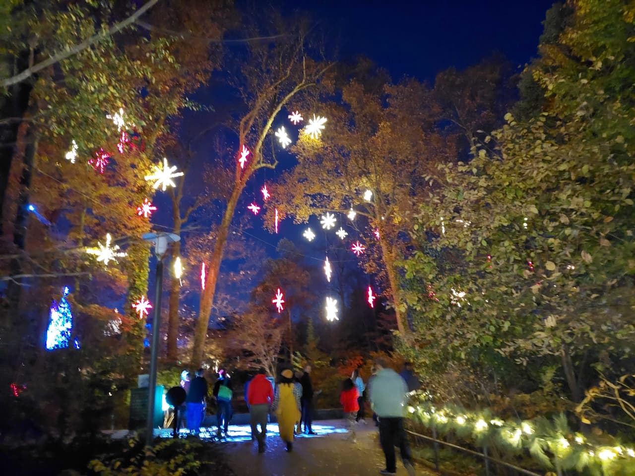 Además, por primera vez los asistentes pudieron disfrutar de nuevas experiencias, como una serie de luces verticales en movimiento que se iluminan en sincronía con la música.