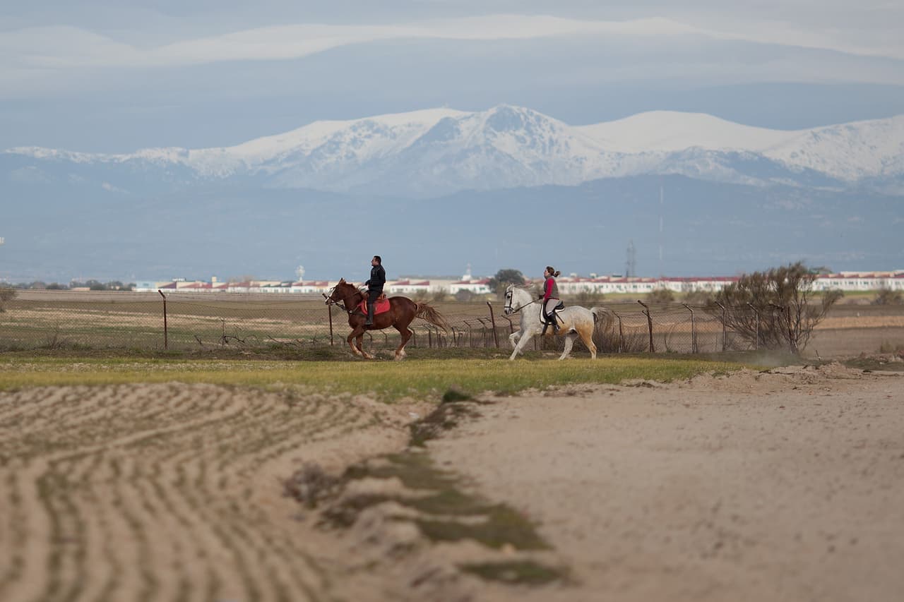 La zona aledaña a Madrid donde se iba a construir Eurovegas. El proyecto nunca se concretó.