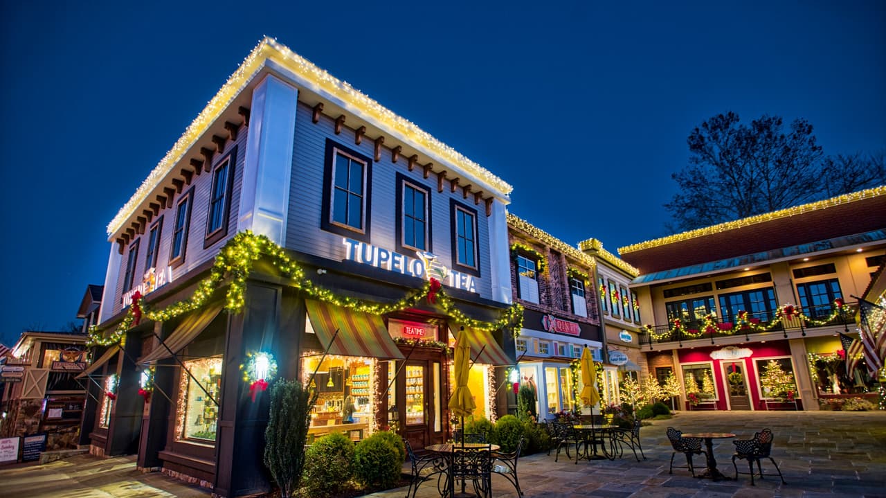 Y si tienes tiempo, también aprovecha para visitas la ciudad de Blue Ridge, que luce sus mejores galas durante la Navidad.