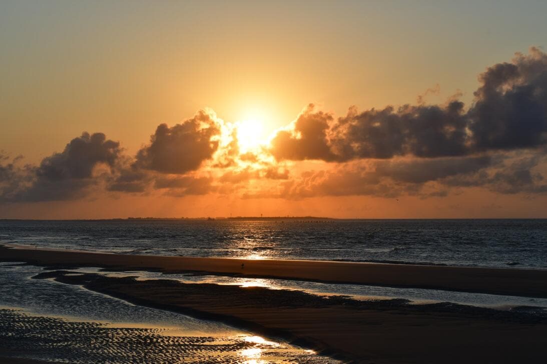 <a href="https://www.univision.com/local/north-carolina-wuvc/mejores-playas-carolina-del-norte-visitar-verano-2022-fotos"><b>MIRA TAMBIÉN</b>: Estas son las mejores playas de Carolina del Norte para visitar en verano</a>