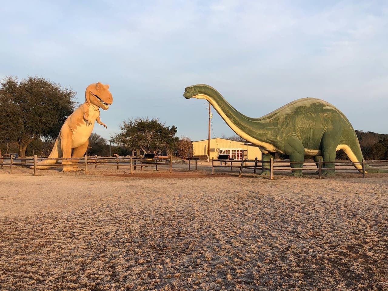 El 
<b><a href="https://www.univision.com/local/houston-kxln/diviertete-con-tu-familia-siguiendo-las-huellas-de-los-dinosaurios-en-el-dinousar-valley-state-park-video">Dinosaur Valley State Park</a> está ubicado en el <a href="https://l.facebook.com/l.php?u=https%3A%2F%2Fwww.google.com%2Fmaps%2Fdir%2F%3Fapi%3D1%26destination%3D32.246052521%252C-97.816262558%26fbclid%3DIwAR27z6o50zXtHGK8n-e1Vmej53ZWcqm3qkTZmXRZ8pRpHoFAvJenePoLAD8&h=AT1NX3lpYCARbNOepKeRd1sd97qRN9fcuJr8-psMRXsRQ4fIc8s4qGT7qJAEdg13Tro5dCeqDILRCdUjQH3dpC0KS3CEj6WNf8tPgpodk1Qutx9-6HUZbJBbbos7je-uyn2JmDz-" target="_blank">1629 Park Road 59 Glen Rose, TX 76043.</a></b>
<br>Se recomienda a quienes planeen visitarlo que hagan 
<a href="https://texasstateparks.reserveamerica.com/camping/dinosaur-valley-state-park/r/facilityDetails.do?contractCode=TX&parkId=1200095&_ga=2.51423145.1423549155.1685017154-152382238.1682690123" target="_blank">reservaciones por internet</a> o llamando al (512) 389-8900 porque es un destino muy popular.