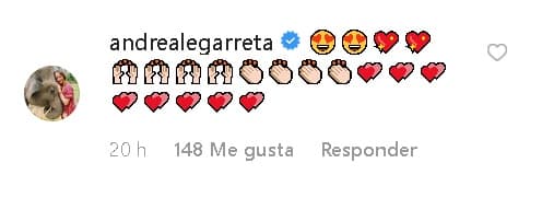 La conductora y actriz 
<b><a href="https://www.univision.com/famosos/andrea-legarreta-subio-al-valle-sagrado-de-los-incas-y-hasta-alla-fue-reconocida-por-una-artesana-peruana-video">Andrea Legarreta</a></b> también les expresó sus emociones con amorosos emoticones.