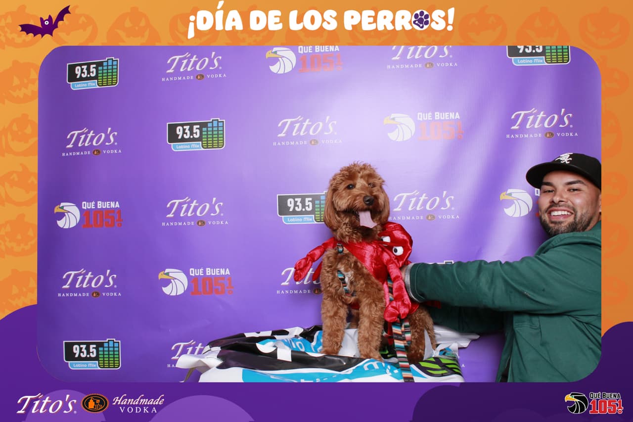 Cual fue tu favorito?