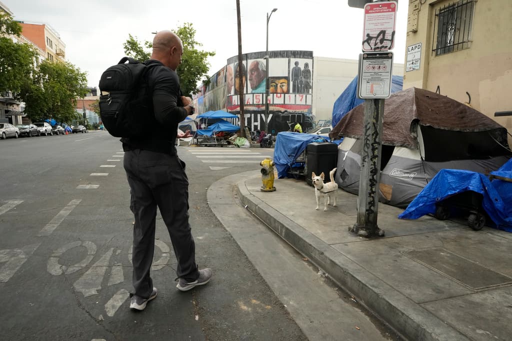 Muchas de estas personas desamparadas, cuentan además con una mascota, en su gran mayoría, 
<b>perros y gatos</b>.