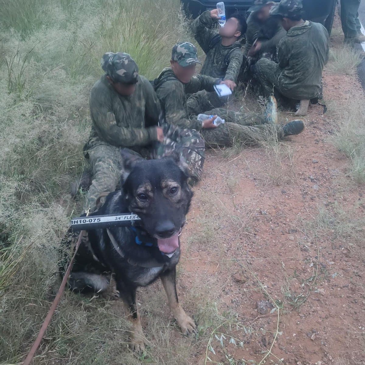 Un agente K9 del sector de Tucson respondió a un lugar donde encontraron presuntos migrantes cerca de Sasabe, Arizona. Mientras intentaban evadir la detección, seis ciudadanos mexicanos fueron arrestados ya habían caminado 12 millas hacia el nombre de la frontera.
