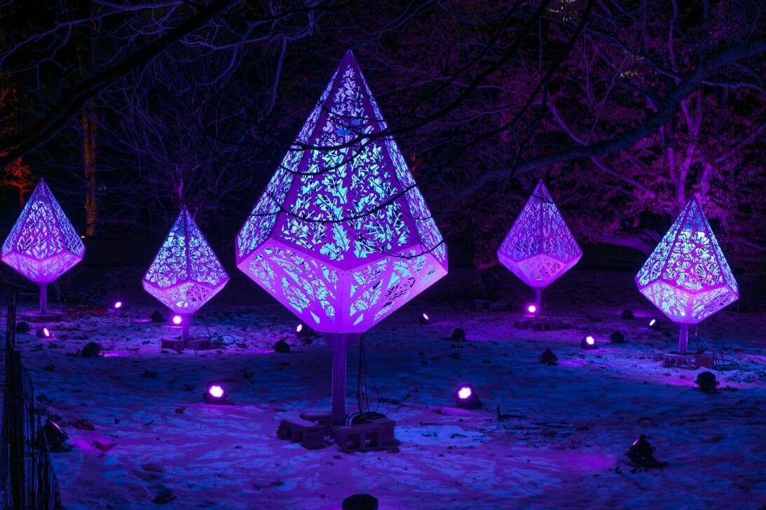 La iluminación de árboles del jardín botánico 
<a href="https://mortonarb.org/explore/activities/family/illumination/" target="_blank">The Morton Arboretum</a> abre sus puertas este sábado 20 de noviembre. La iluminación pretende deslumbrar a los visitantes con su espectáculo de color, luz y banda sonora musical sincronizada. Está disponible hasta enero 8.