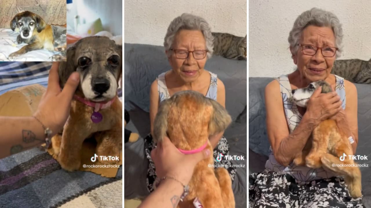 Joven regala a su abuelita peluche de su mascota fallecida.