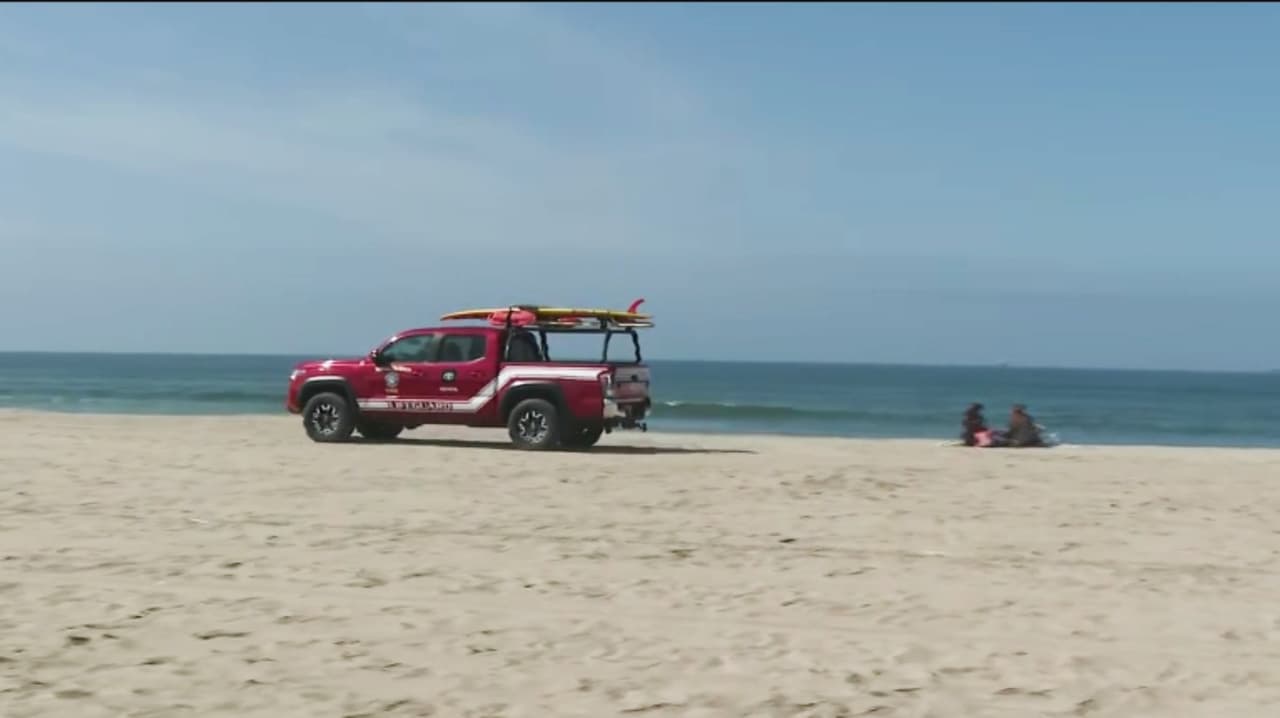 Tiburón blanco agresivo obliga a cerrar acceso al agua en Huntington Beach