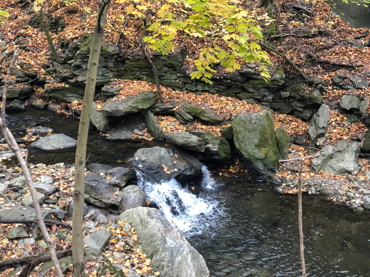 Los visitantes de este prístino parque pueden disfrutar de las 7 millas de largo de grava y asfalto Wissahickon Valley Park Trail - Forbidden Drive (WVPT). El verde Wissahickon Valley Park ofrece un refugio de denso follaje, cascadas, arroyos y vida silvestre a poca distancia del centro de la ciudad de Filadelfia. 
<br>