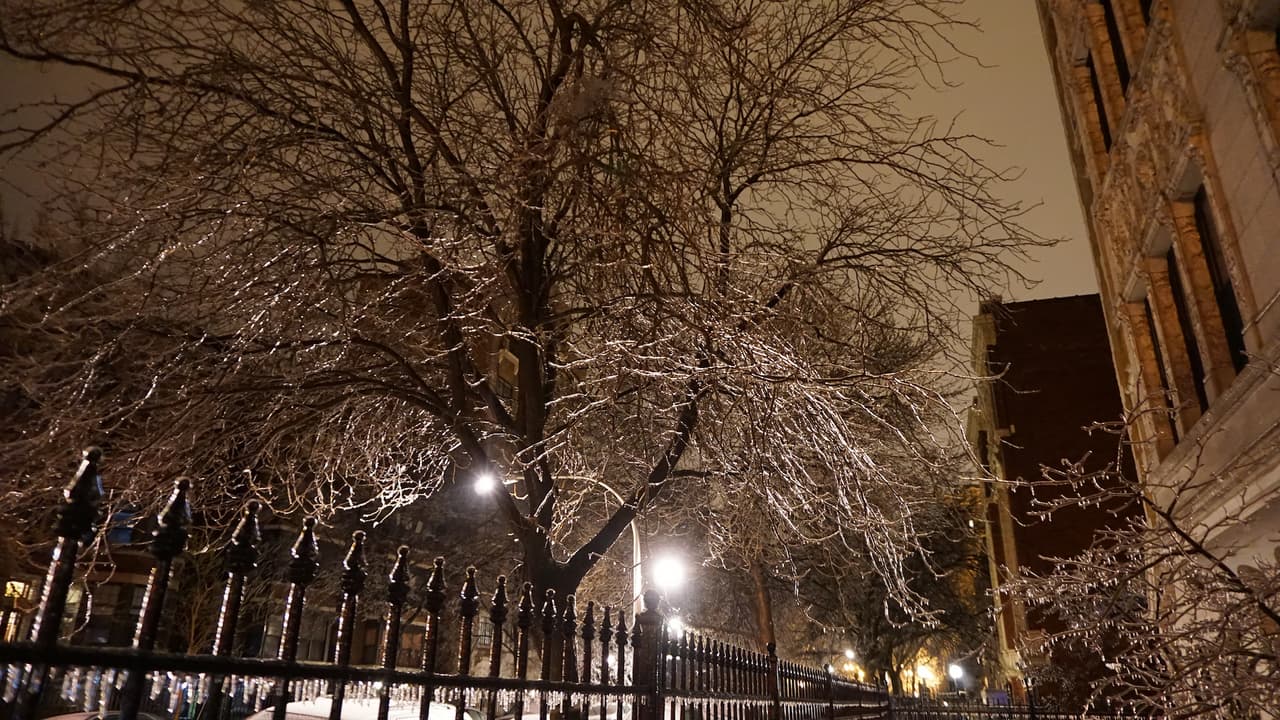 Para la mañana del 12 de febrero, árboles estaban congelados y estalactitas se habían formado en las ramas.