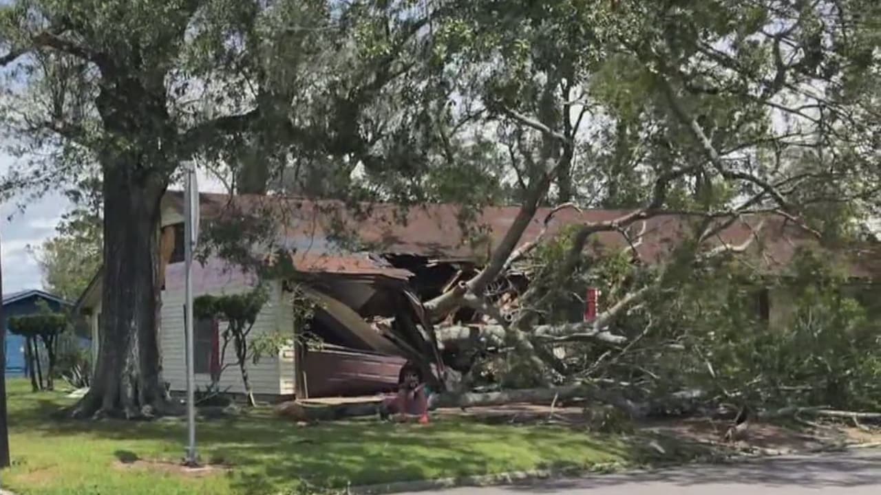 Huracán Laura: Árboles caídos y casas móviles volteadas es el panorama en el condado Orange