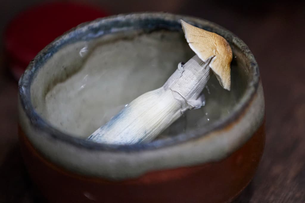 Qué hay detrás del creciente rechazo al uso de hongos psicodélicos en Oregon