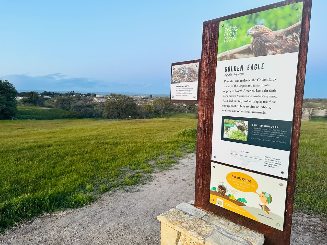 Los bosques en Paso Robles conformados por los campos de viñedos son un ecosistema único que proporciona alimento y refugio a muchas criaturas, grandes y pequeñas. Estos son animalitos que contribuyen a la biodiversidad y la salud general de los viñedos. 
<br>