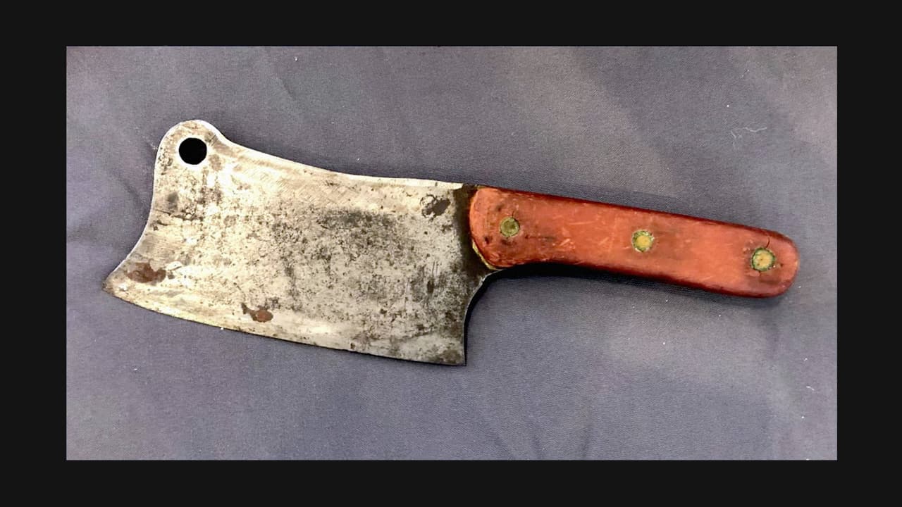 <b>Puesto 6. Cuchillo de carnicero</b>
<br>
<br>Lugar donde fue encontrado: Aeropuerto Harrisburg Internacional (Pennsylvania).
<br>
<br>“No es una idea inteligente pasar esto por seguridad”, dijo la agencia sobre esta foto. Hizo un juego la palabra en inglés ‘cleaver’, que significa ‘cuchillo de carnicero’ y ‘clever‘, que significa ‘inteligente‘, en inglés.
<br>