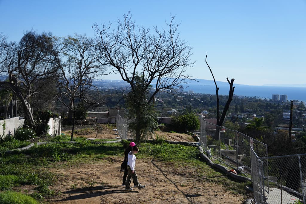 Otros eventos incluyeron misas de sanación, tributos en escuelas como John Muir High School y un concierto benéfico sold-out en el Pasadena Civic Auditorium con la banda Dawes —cuyos miembros perdieron hogares y estudios en el fuego— para recaudar fondos para recuperación.