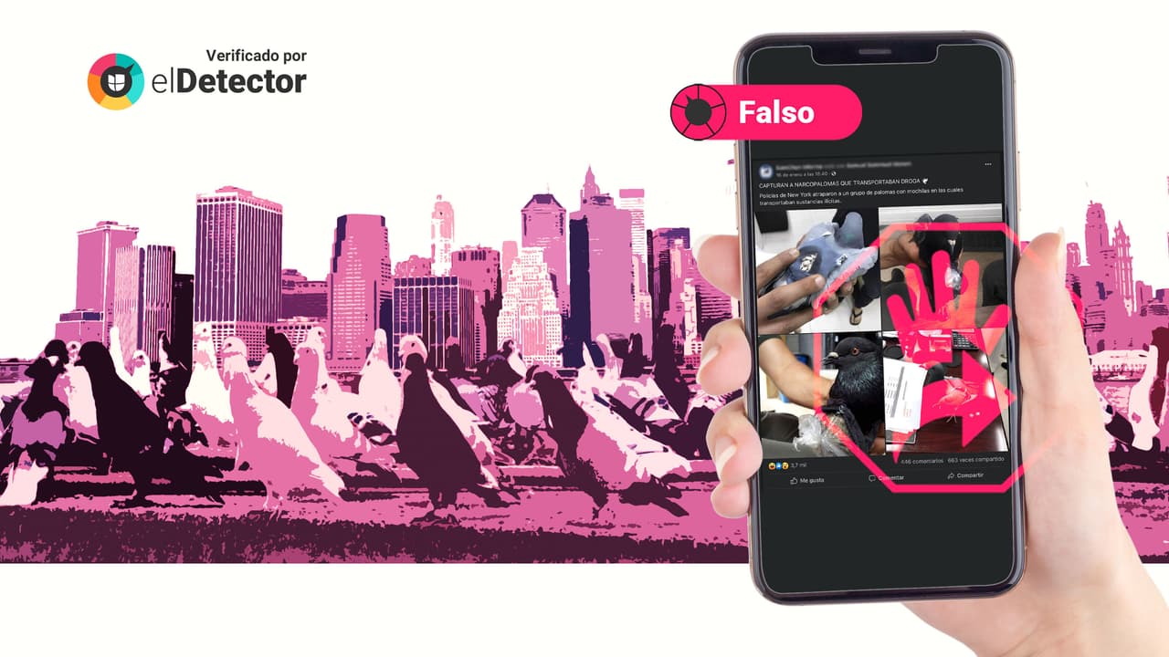 La policía de Nueva York NO capturó a un grupo de “narcopalomas”